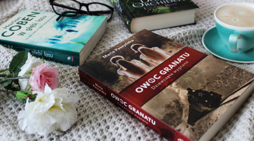 E book czy tradycyjna książka? Moja opinia IMG 4132 1024x570 E book czy tradycyjna książka? Moja opinia