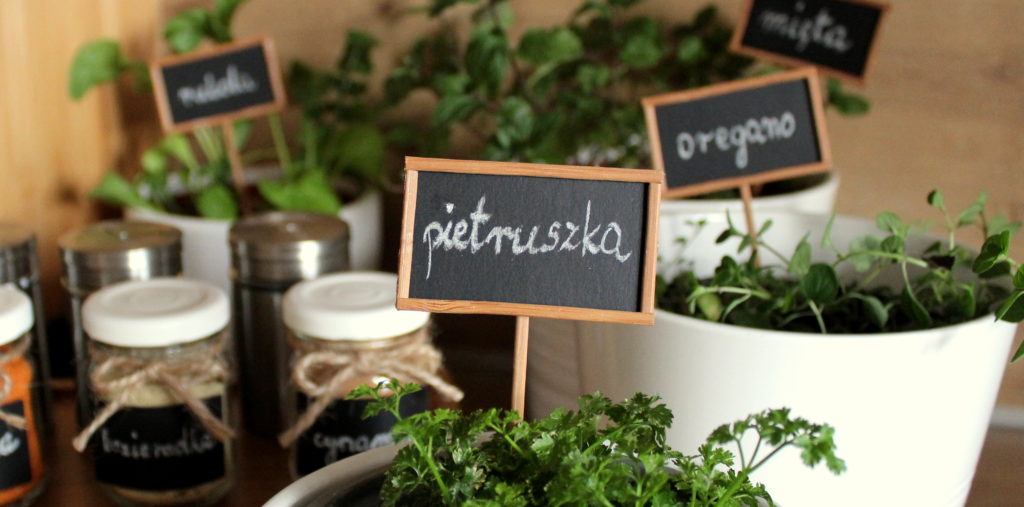 Sposób na proste DIY czyli moja organizacja ziół i przypraw. Wersja z instrukcją IMG 5105 1024x507 Sposób na proste DIY czyli moja organizacja ziół i przypraw. Wersja z instrukcją