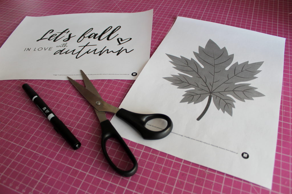 IMG 5291 1024x683 Pomysł na jesienny home decor DIY oraz mały dodatek   szycie zza kulis 🍁